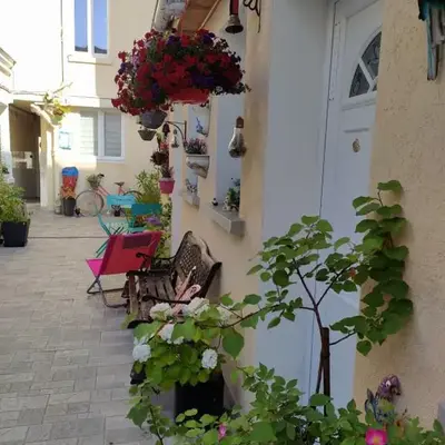Les Coquelicots