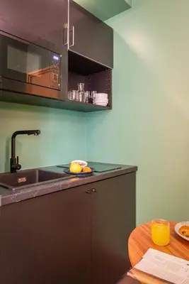 Cuisine ou kitchenette dans l'établissement Appart Hotel Avalon