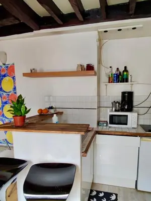 Cuisine ou kitchenette dans l'établissement Cosy 25 sqm Studio in Heart of Paris