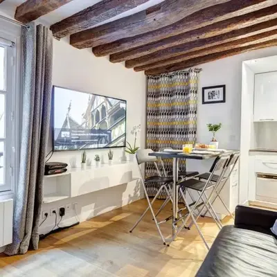 Historic Paris Apartment Steps from Notre Dame and Louvre - Limited Offer