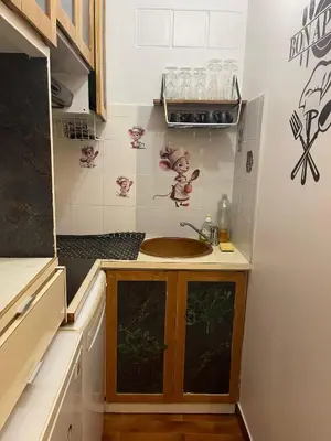 Cuisine ou kitchenette dans l'établissement Mon Paris