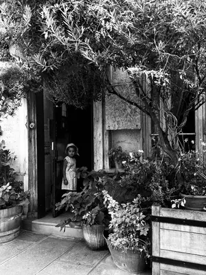 Jardin de l'établissement Boutique Hotel de la Place des Vosges