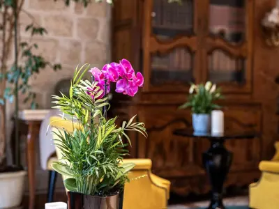 Plan de l'établissement Hotel Minerve