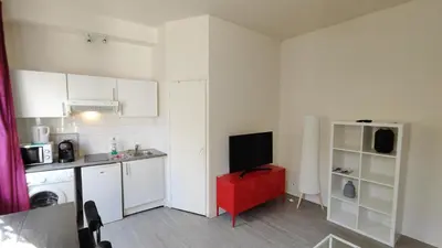 Cuisine ou kitchenette dans l'établissement Comfy Parisian studio!