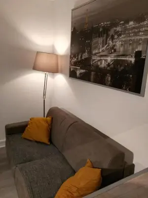 Coin salon dans l'établissement Comfy Parisian studio!