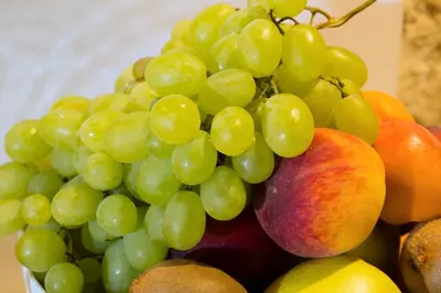 Nourriture dans l'appart'hôtel ou à proximité