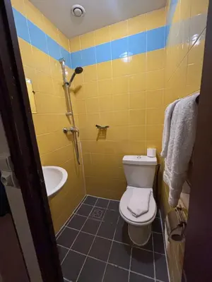 Salle de bains dans l'établissement Hotel Anya