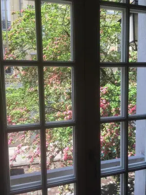 Jardin de l'établissement Paris Saint Michel Sorbonne