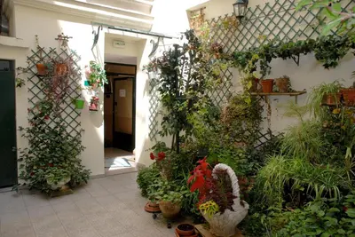 Jardin de l'établissement Hôtel Transcontinental