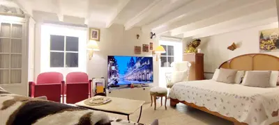 Télévision ou salle de divertissement dans l'établissement PARIS AUTHENTIC HOUSE Métro Line 14 Station Hôpital Bicêtre, RER B Gentilly