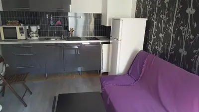 Cuisine ou kitchenette dans l'établissement Appartement JARDINS DU LOUVRE
