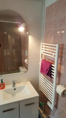 Salle de bains dans l'établissement Appartement JARDINS DU LOUVRE