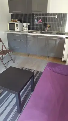 Cuisine ou kitchenette dans l'établissement Appartement JARDINS DU LOUVRE