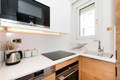 Cuisine ou kitchenette dans l'établissement Luxury Montaigne apartment
