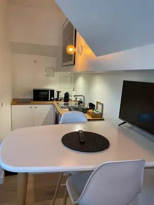 Cuisine ou kitchenette dans l'établissement Péniche 