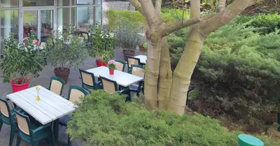 Jardin de l'établissement Hotel CIS Paris Kellermann