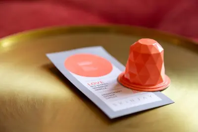 Plan de l'établissement Hotel Sacha