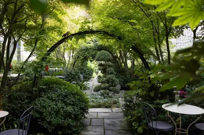 Jardin de l'établissement Hôtel Regent's Garden - Astotel