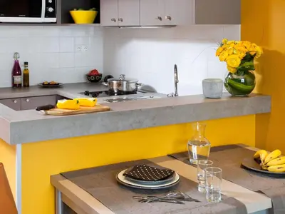 Cuisine ou kitchenette dans l'établissement Aparthotel Adagio Paris XV