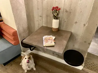 Animal ou animaux domestique(s) séjournant avec des clients dans l'établissement Hotel Bridget
