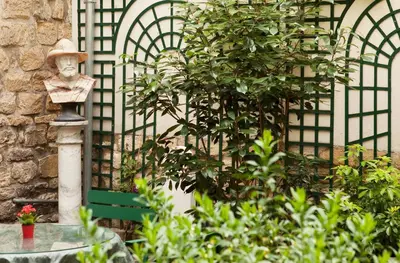 Jardin de l'établissement La Perle Saint Germain des Prés