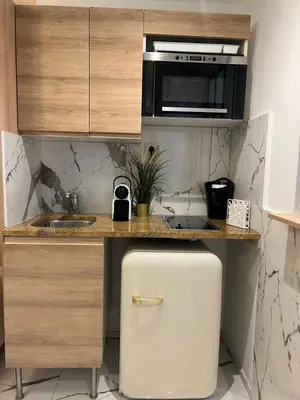 Cuisine ou kitchenette dans l'établissement Studio Île Saint Louis 75004 Paris