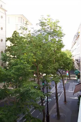 Plan de l'établissement Studio proche de la Seine