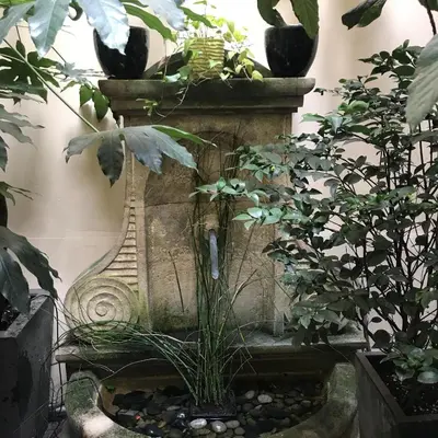 Jardin de l'établissement Hôtel Recamier