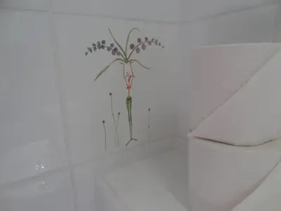 Plan de l'établissement Amélie Hotel