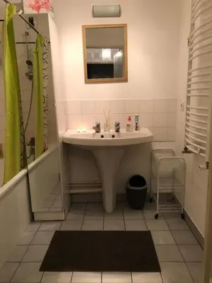 Salle de bains dans l'établissement DREAM Flat in PARIS