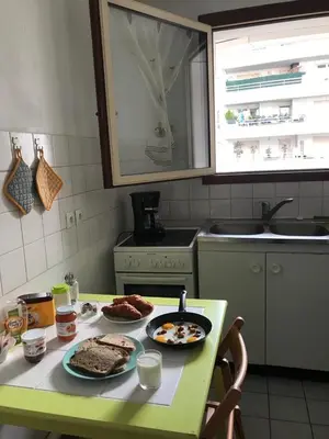 Cuisine ou kitchenette dans l'établissement DREAM Flat in PARIS