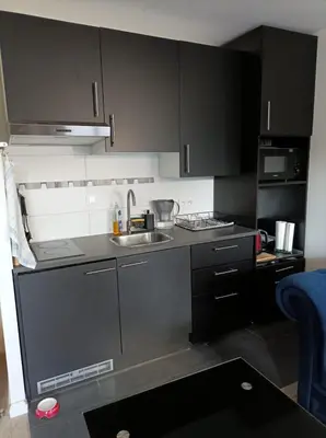 Cuisine ou kitchenette dans l'établissement Appartment Porte de Versailles Paris Expo