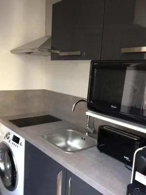 Cuisine ou kitchenette dans l'établissement Appartement Cherche-Midi