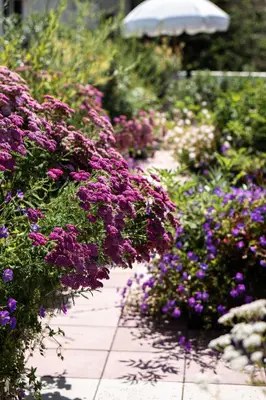 Jardin de l'établissement Hôtel Rosalie