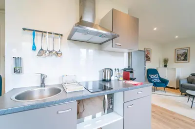 Cuisine ou kitchenette dans l'établissement GH Apartment Pasteur-Montparnasse