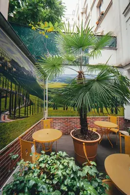 Jardin de l'établissement Le Relais Montmartre