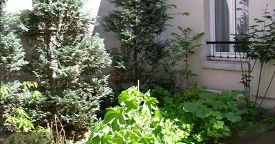 Jardin de l'établissement Hôtel des Pavillons
