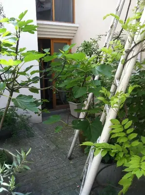 Jardin de l'établissement Chambre d'Hôtes Annelets