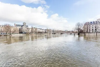 Vue sur la rivière ou le fleuve situé(e) à proximité de l'appartement