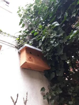 Bâtiment de l'appartement