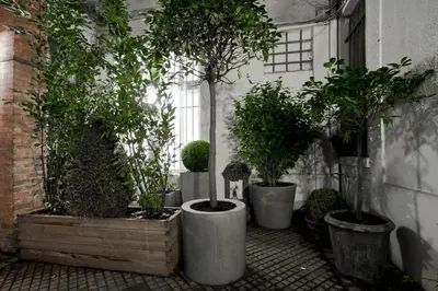 Jardin de l'établissement Stylish,luxury duplex Paris city center