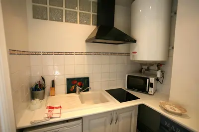 Cuisine ou kitchenette dans l'établissement Appartement Opéra Paris