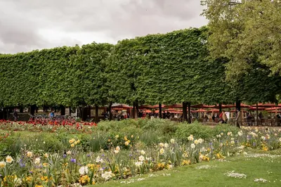 Jardin de l'établissement Edgar Suites Louvre - Saint-Honoré