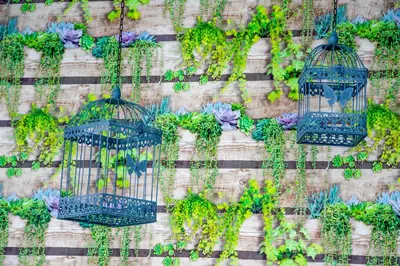 Jardin de l'établissement ibis budget Paris Porte de Vanves