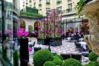 Jardin de l'établissement Four Seasons Hotel George V Paris