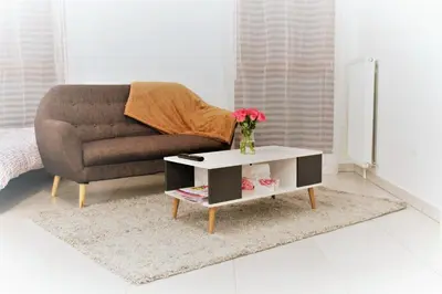 Coin salon dans l'établissement Appartement tout équipé, cosy (1 station de Paris)