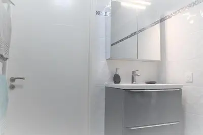 Salle de bains dans l'établissement Appartement tout équipé, cosy (1 station de Paris)