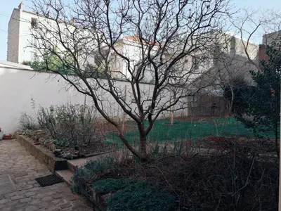 Jardin de l'établissement Studio situé dans un quartier calme et résidentiel à Montrouge à seulement 2 minutes du métro