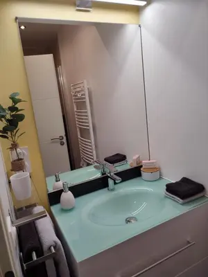 Salle de bains dans l'établissement Paris par métro 4 - RER B - calme - patio privé