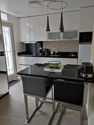 Cuisine ou kitchenette dans l'établissement Paris par métro 4 - RER B - calme - patio privé